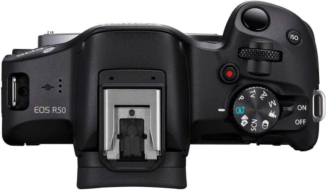 This image depicts a DSLR camera from a top-angle view.